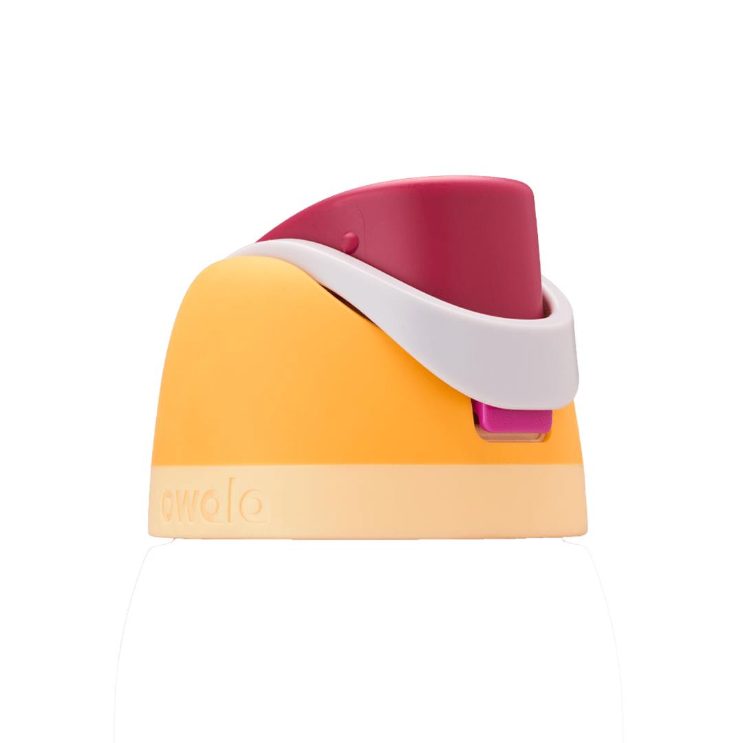 Replacement Lids P9