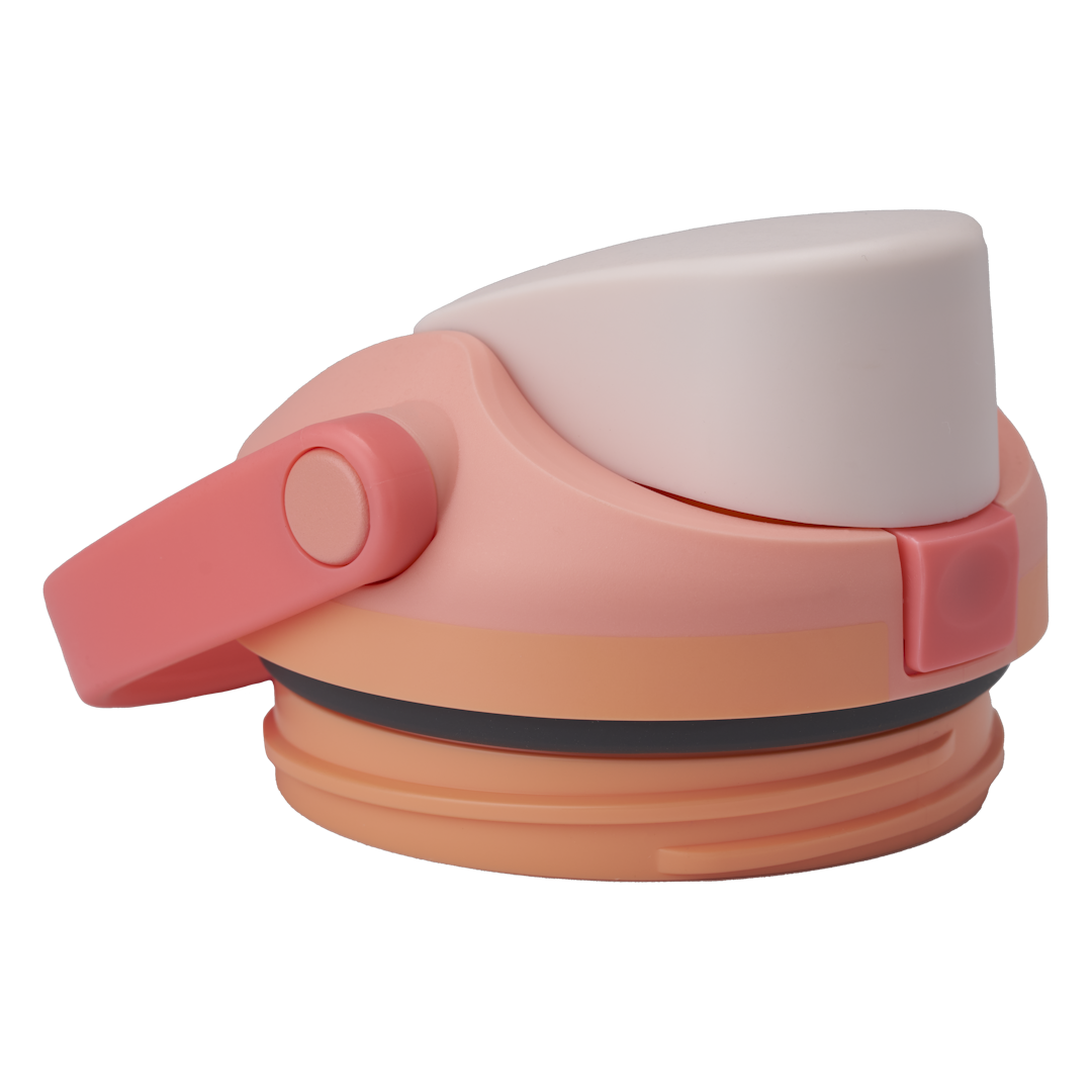 Replacement Lids P9