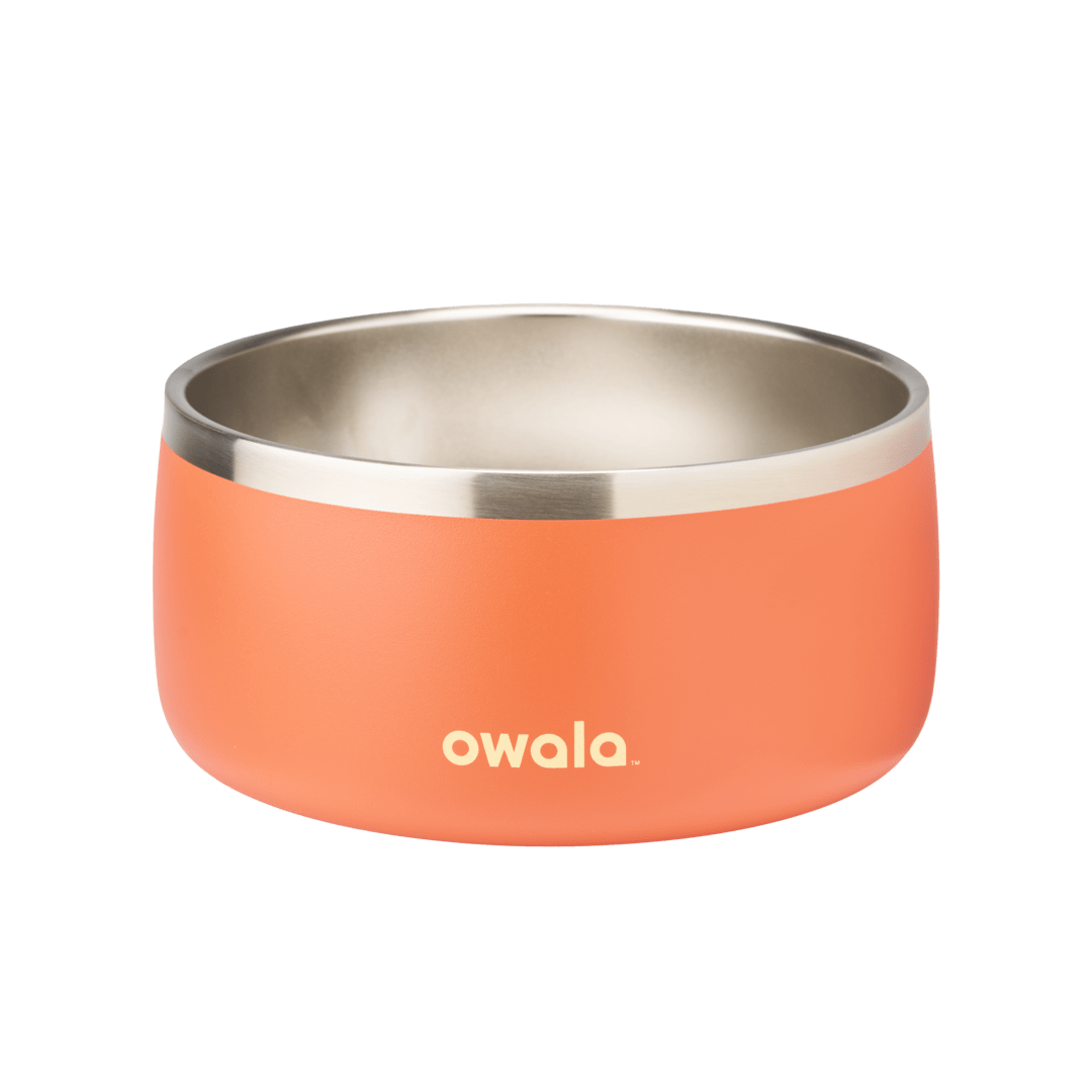 Pet Bowl W3