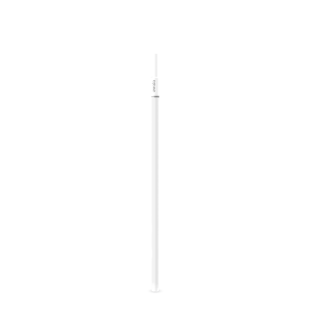 Replacement Straws W6