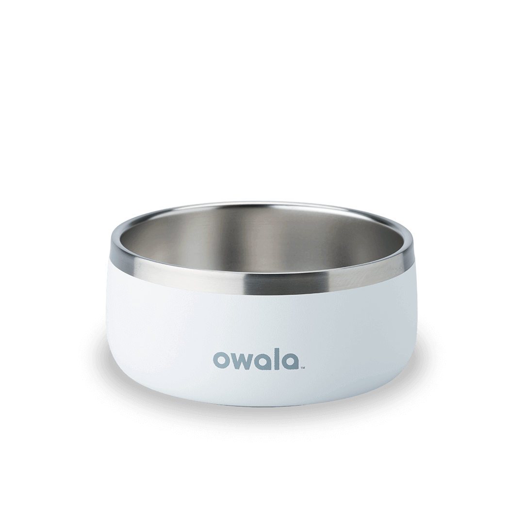 Pet Bowl W3