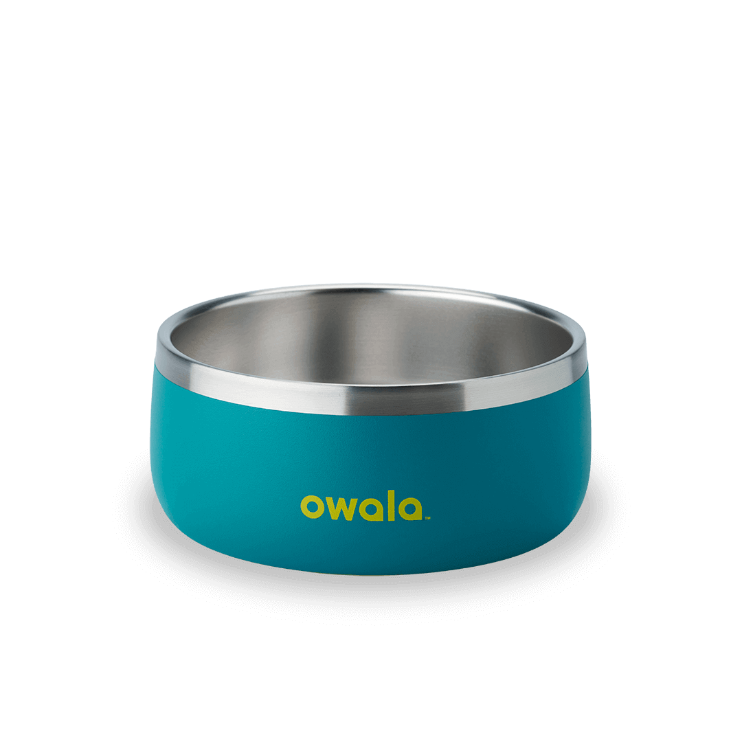 Pet Bowl W3