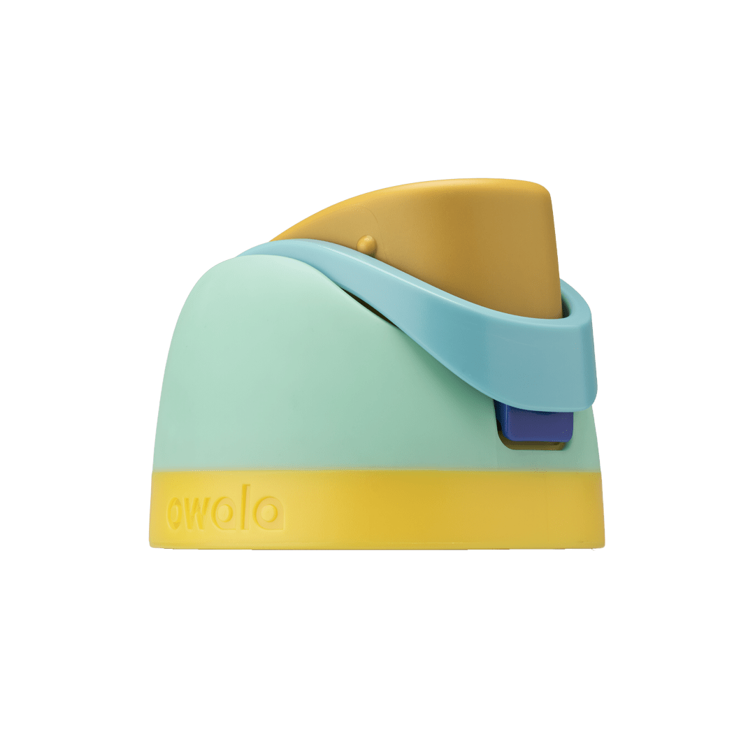 Replacement Lids P9