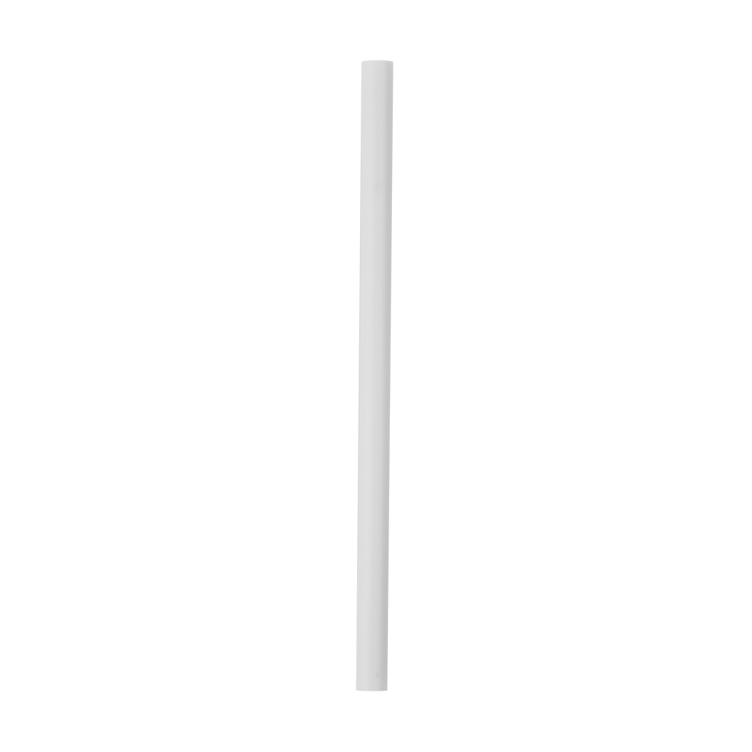 Replacement Straws W6